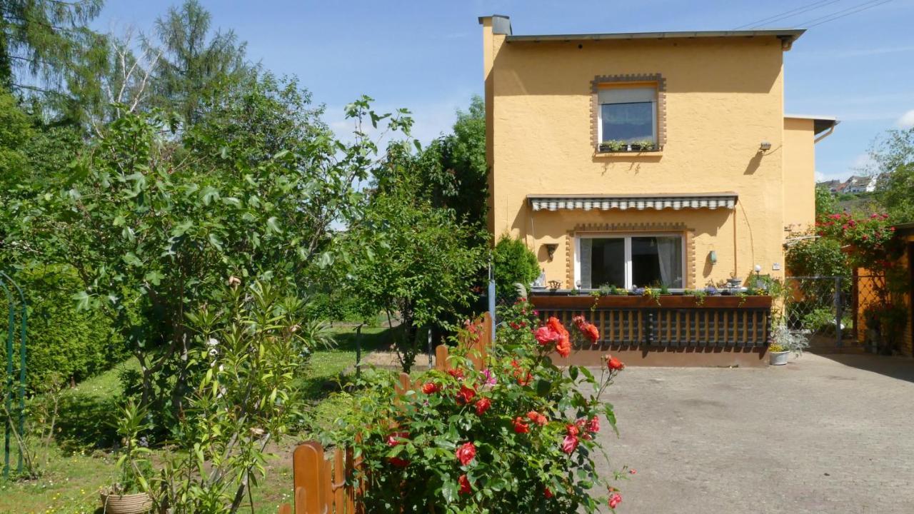 Ferienwohnung Lahnmuendung Mit Kostenlosem Parkplatz Lahnstein Extérieur photo